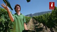 300 Vignerons Indépendants présentent plus de 1.000 vins